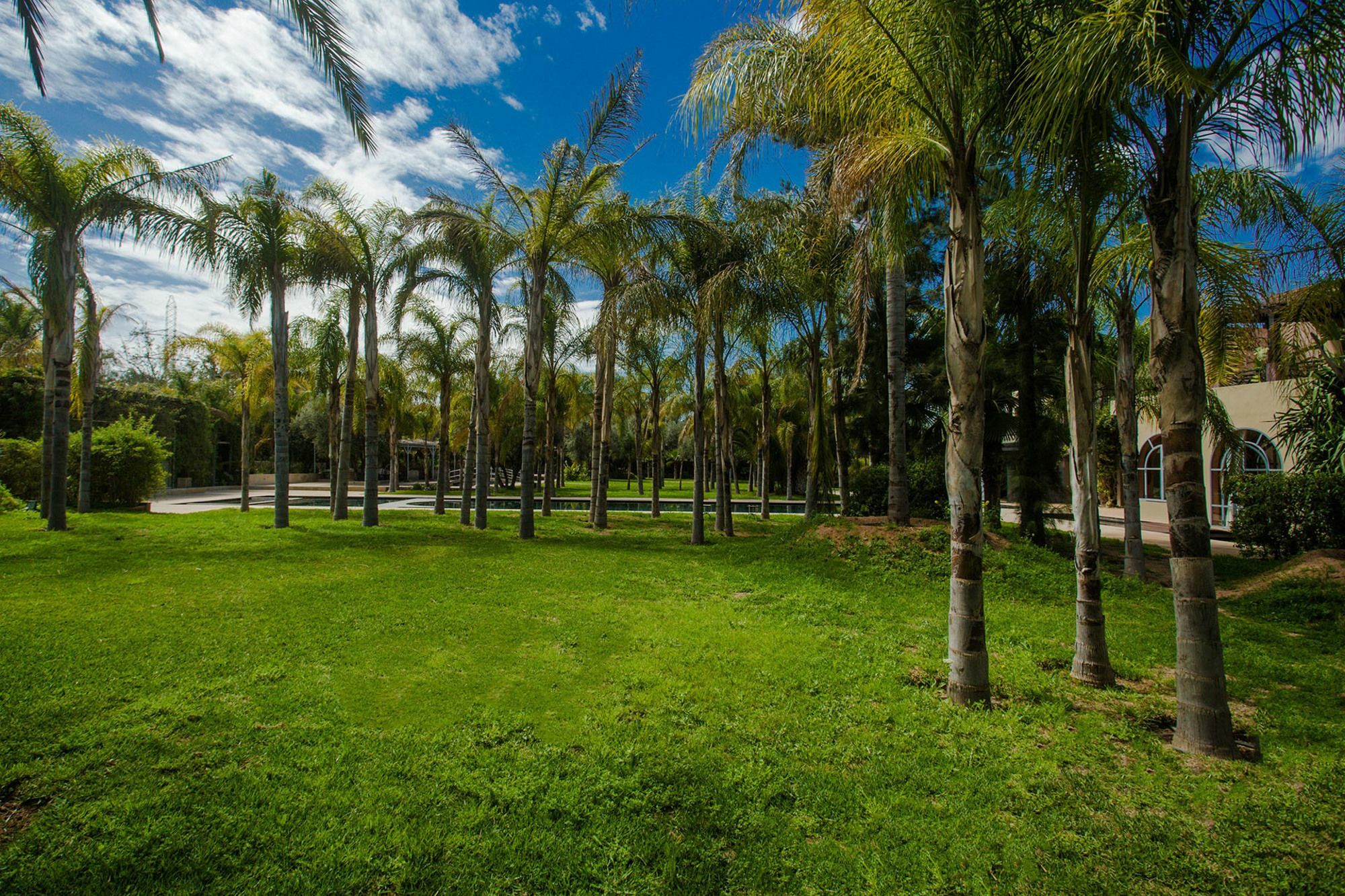 Palais Mirage D'Atlas, Hotel De Luxe & Spa Ouled Jelal Dış mekan fotoğraf